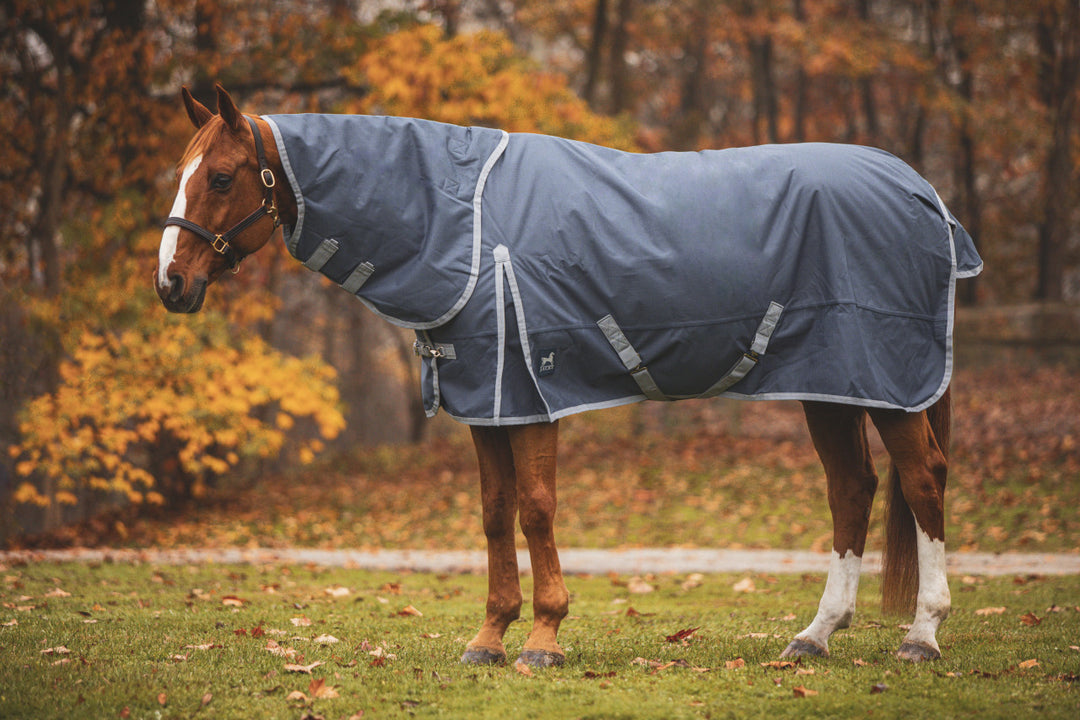 BOREAS HEAVY TURNOUT WITH NECK COVER
