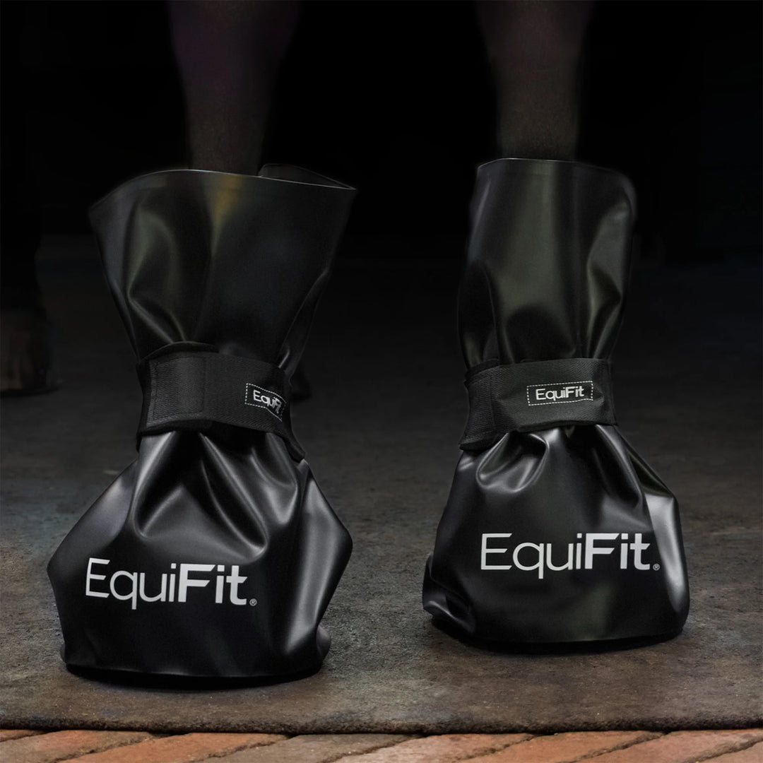 EQUIFIT EASYICE