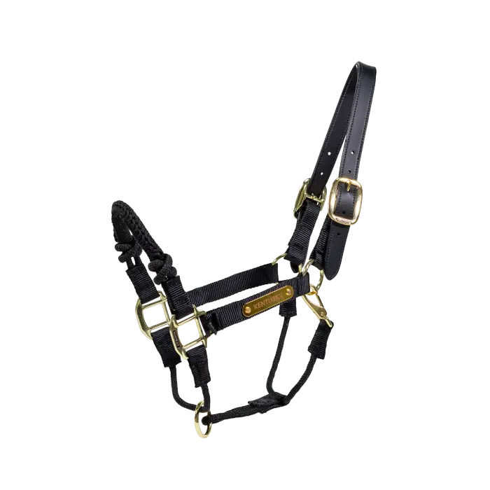 KENTUCKY CONTROL HALTER NYLON