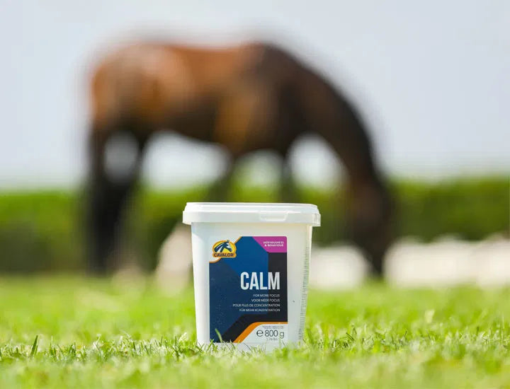 CAVALOR CALM