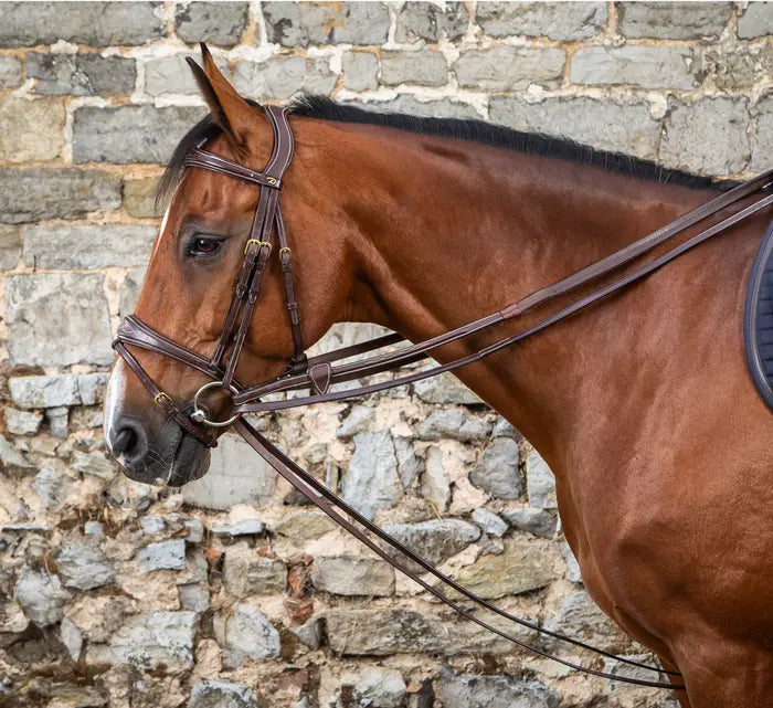 DY'ON FULL LEATHER DRAW REINS