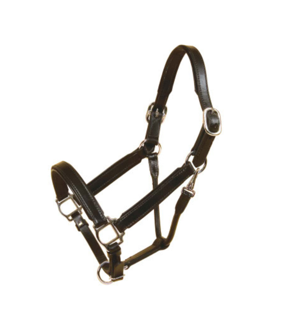 LEATHER PADDED HALTER