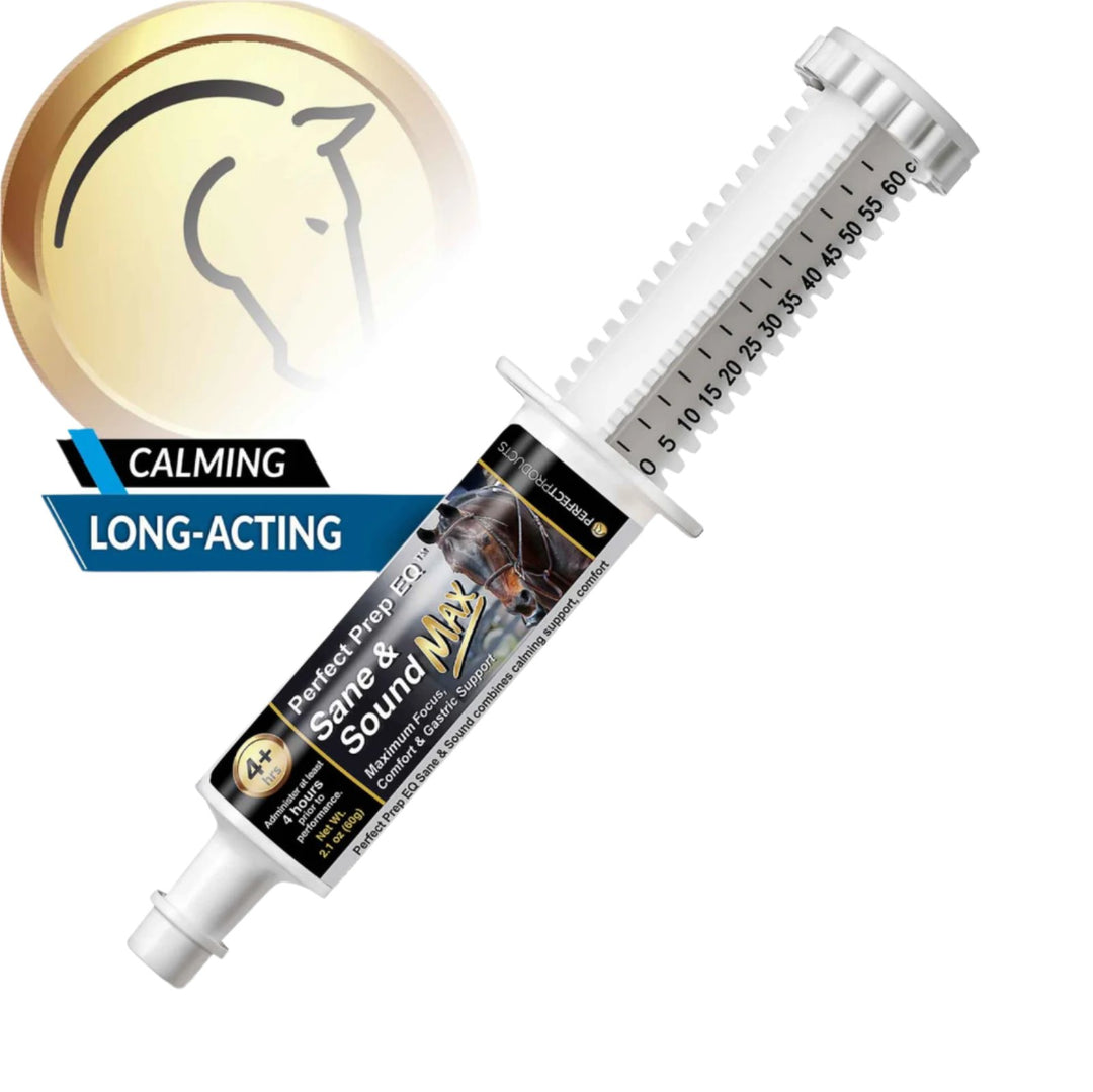 SANE AND SOUND MAX PASTE 60cc