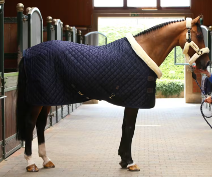 BELLAMAR KENTUCKY SHOW RUG