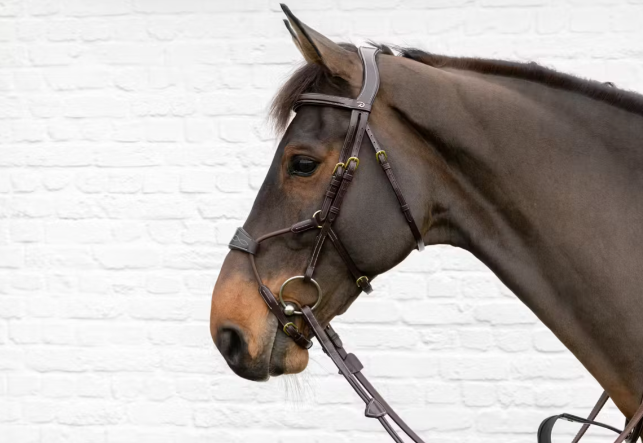 DY'ON ELASTIC NOSEBAND HYBRID BRIDLE