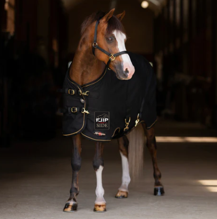 FLIPSIDE KENSINGTON PONY STABLE SHEET