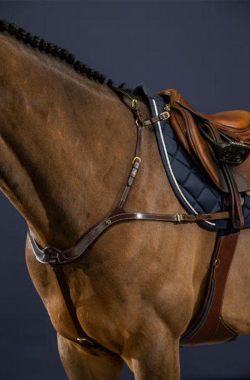DY'ON ANATOMICAL BREASTPLATE