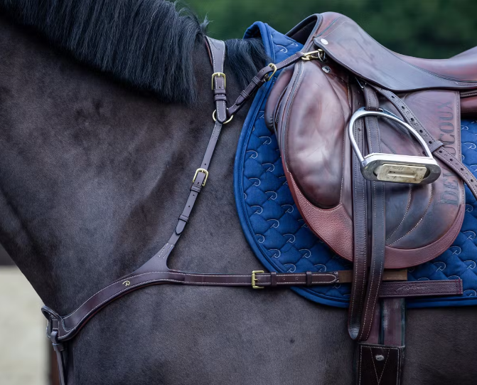DY'ON ANATOMICAL BREASTPLATE