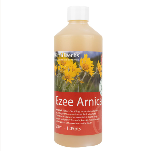 Ezee Arnica Gel Lotion