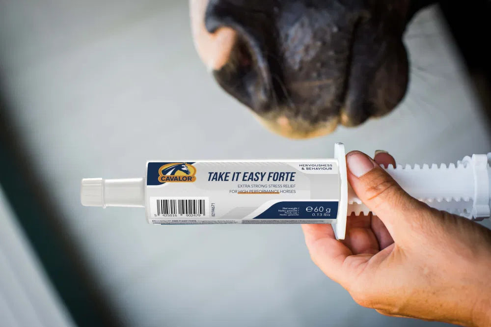 CAVALOR TAKE IT EASY FORTE PASTE