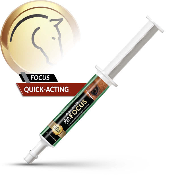PRO FOCUS PASTE 30CC