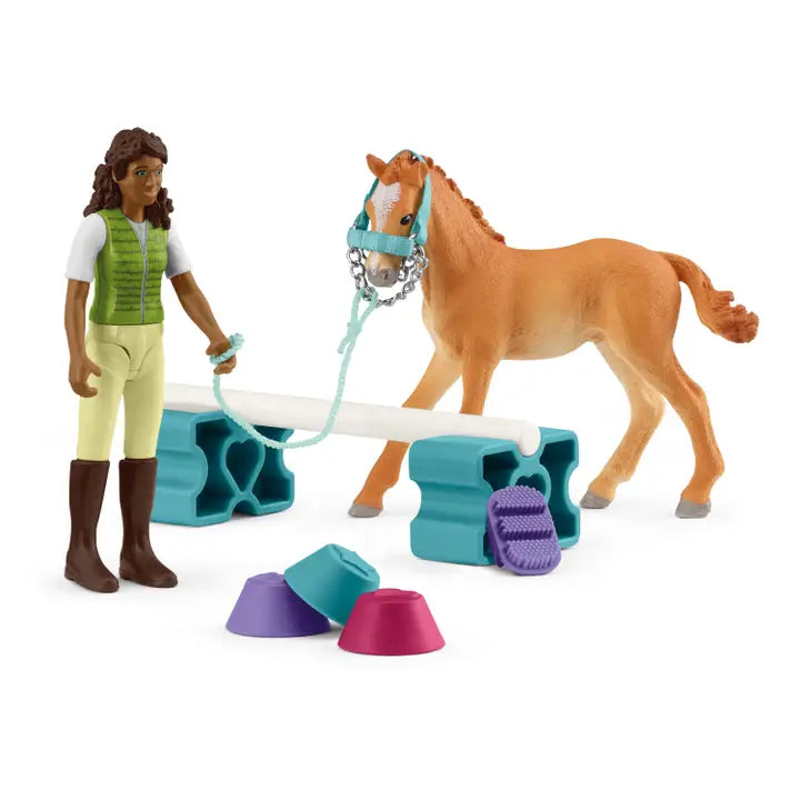 SCHLEICH TRAINING SET