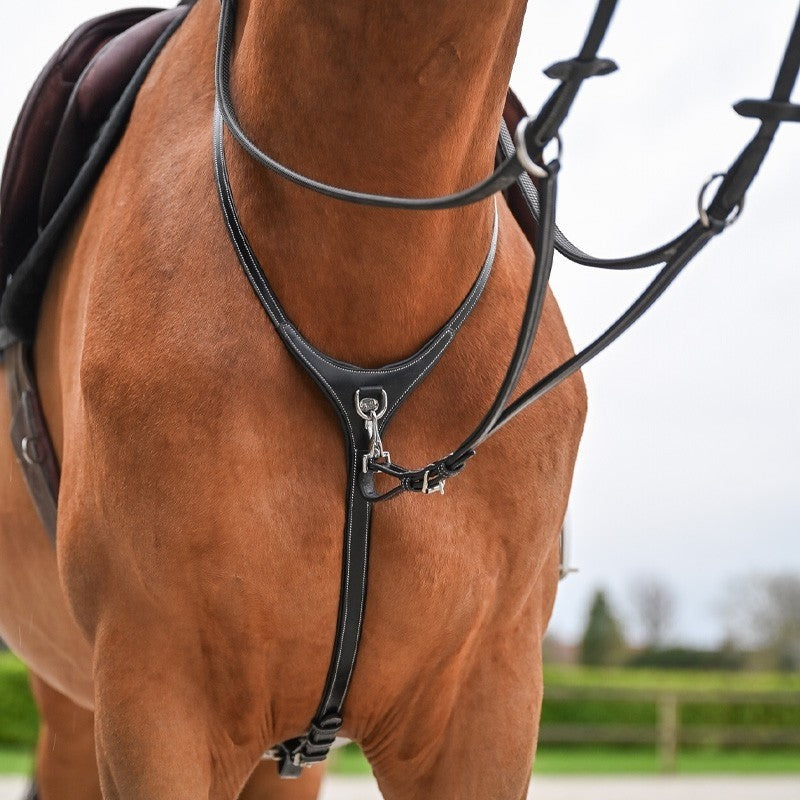 JUMP'IN REMOVABLE MARTINGALE COLLAR