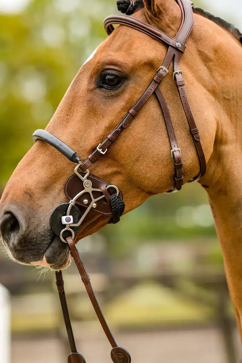 TRUST HACKAMORE PROTECTOR