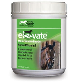 ELEVATE MAINTENANCE POWDER