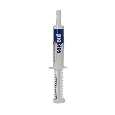 PROBIOS PASTE