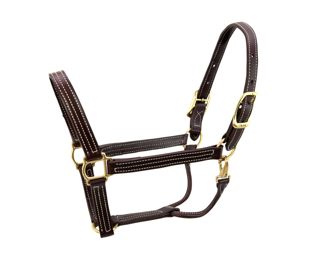 BRITISH HALTER