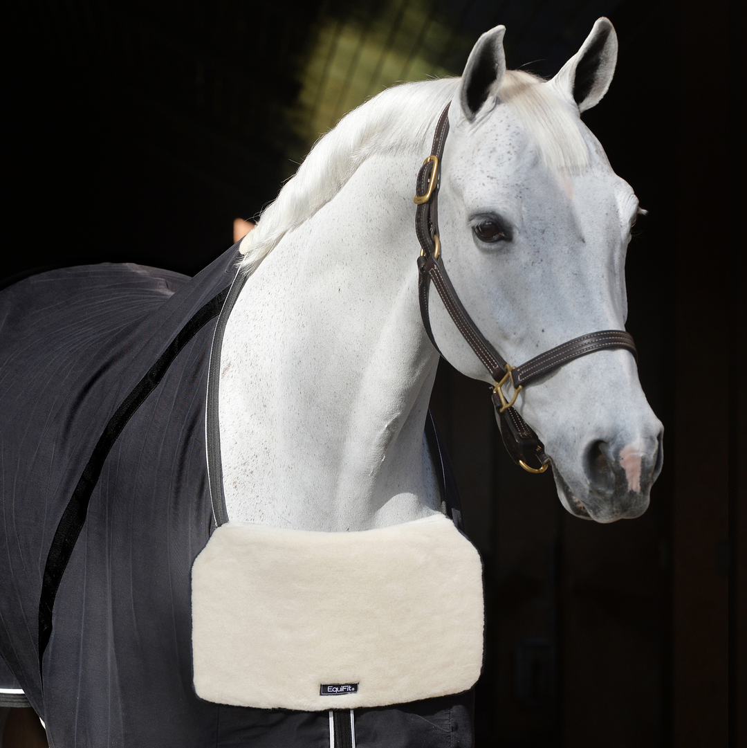 EQUIFIT BLANKETBIB™