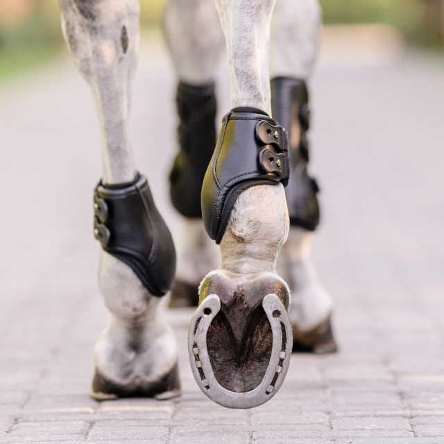 EQUIFIT EQTEQ HIND BOOTS
