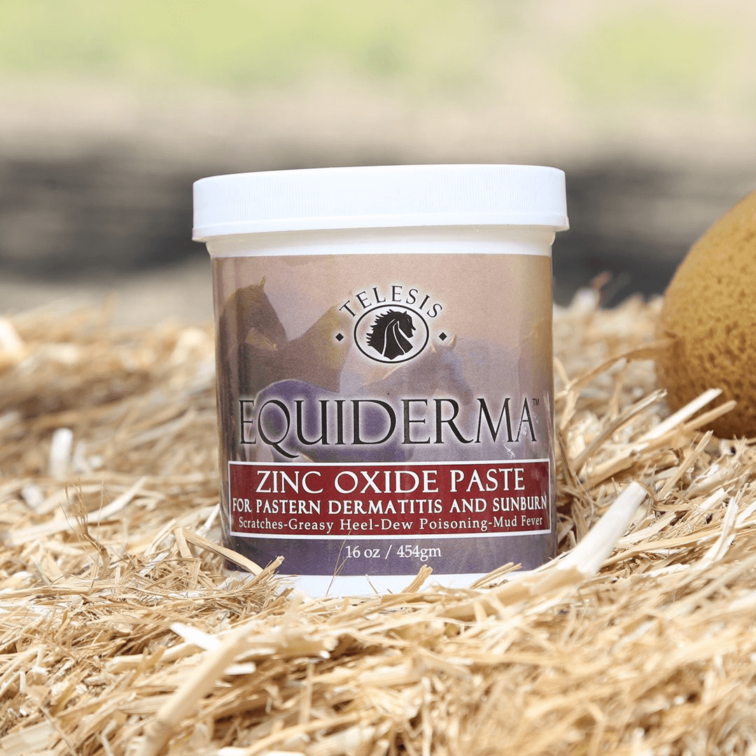 EQUIDERMA ZINC PASTE
