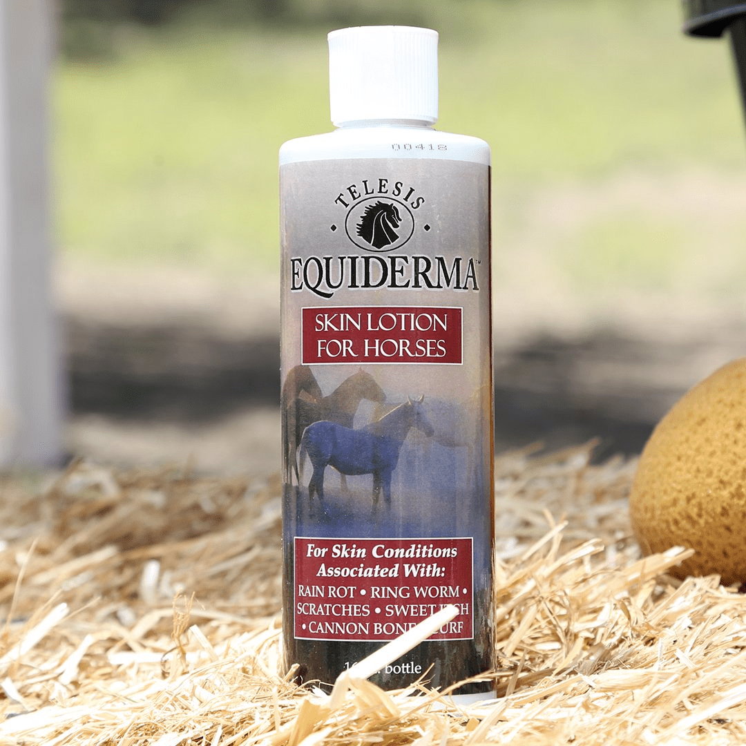 EQUIDERMA SKIN LOTION