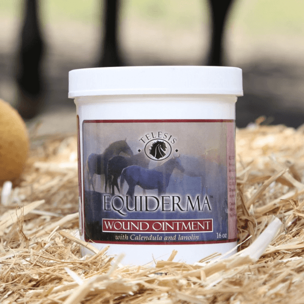 EQUIDERMA WOUND OINTMENT