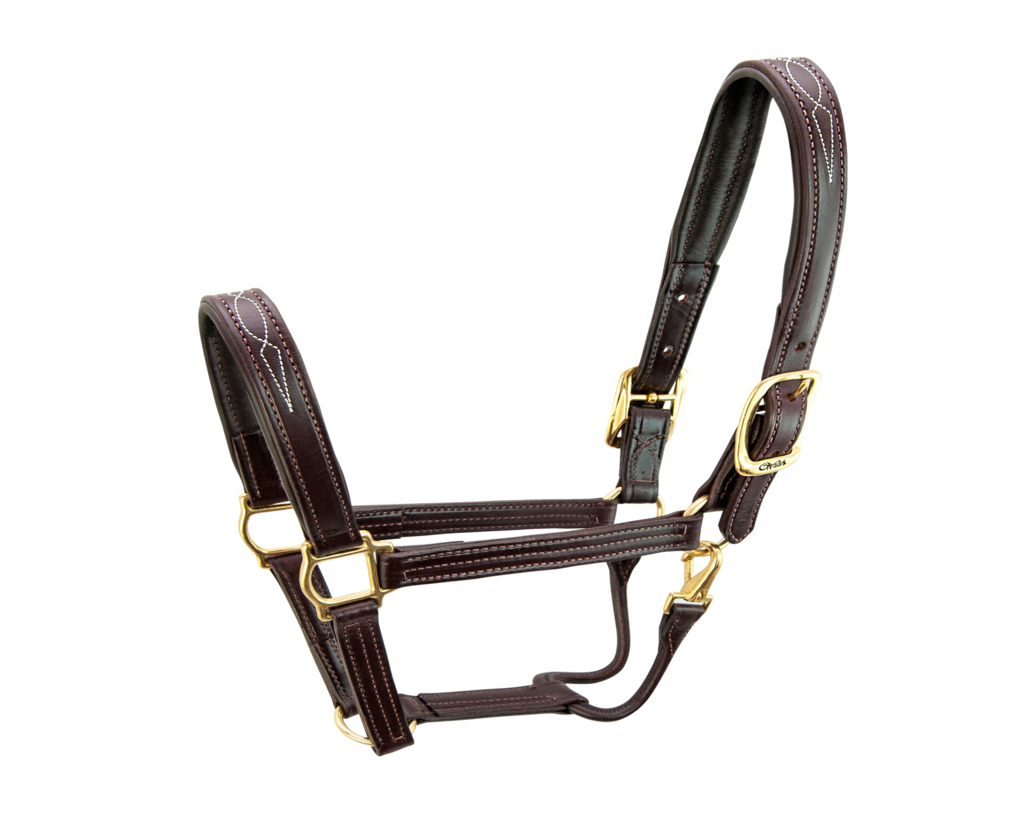 WALSH SIGNATURE HALTER