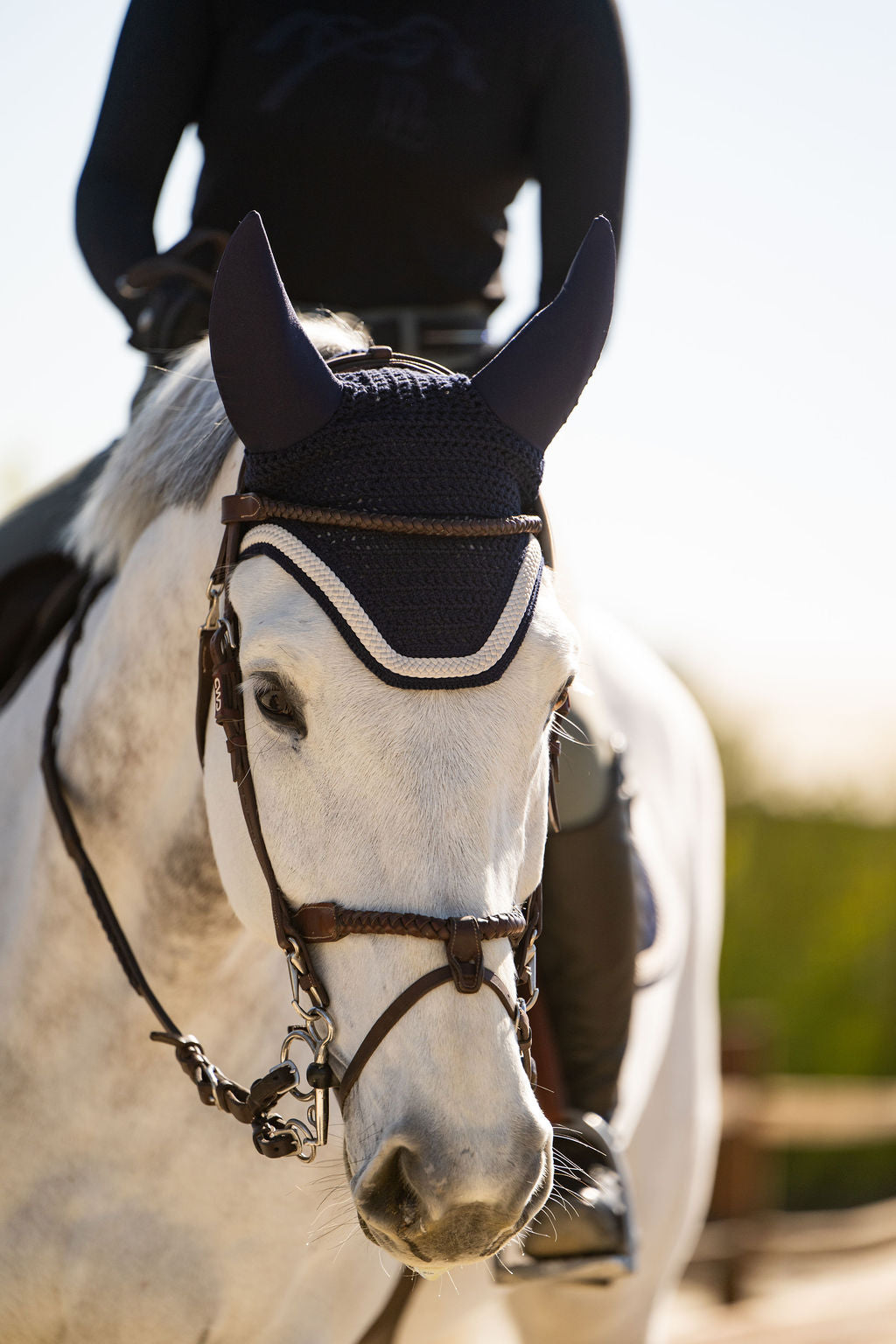 New Arrivals - Tack – Horseplay