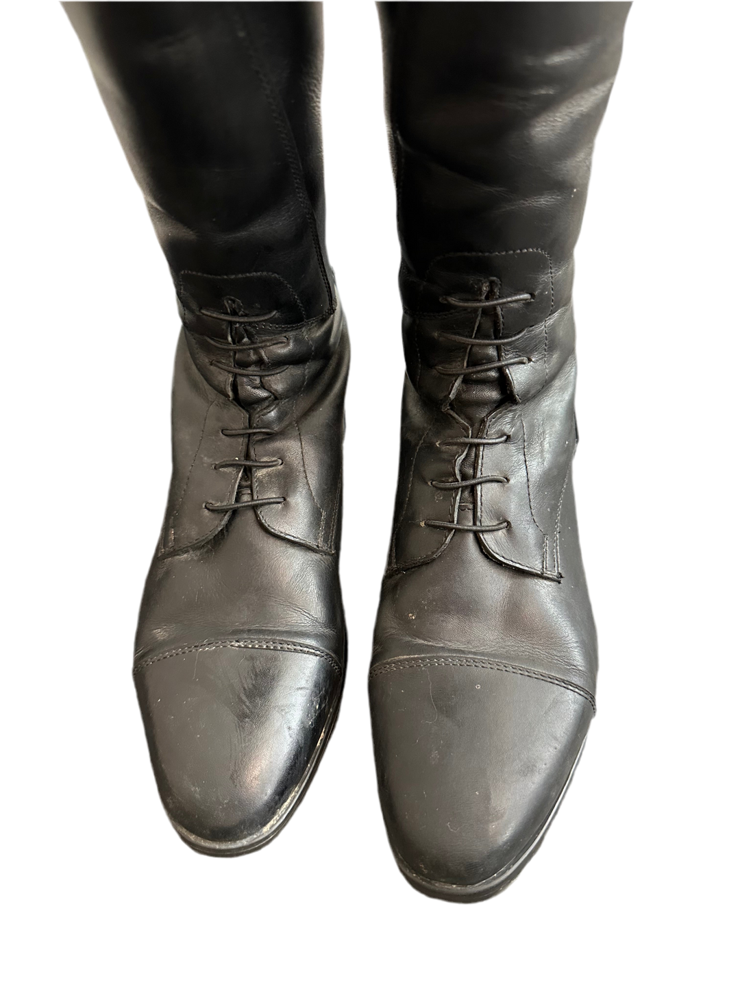 PRE-LOVED EGO 7 ORION FIELD TALL BOOTS