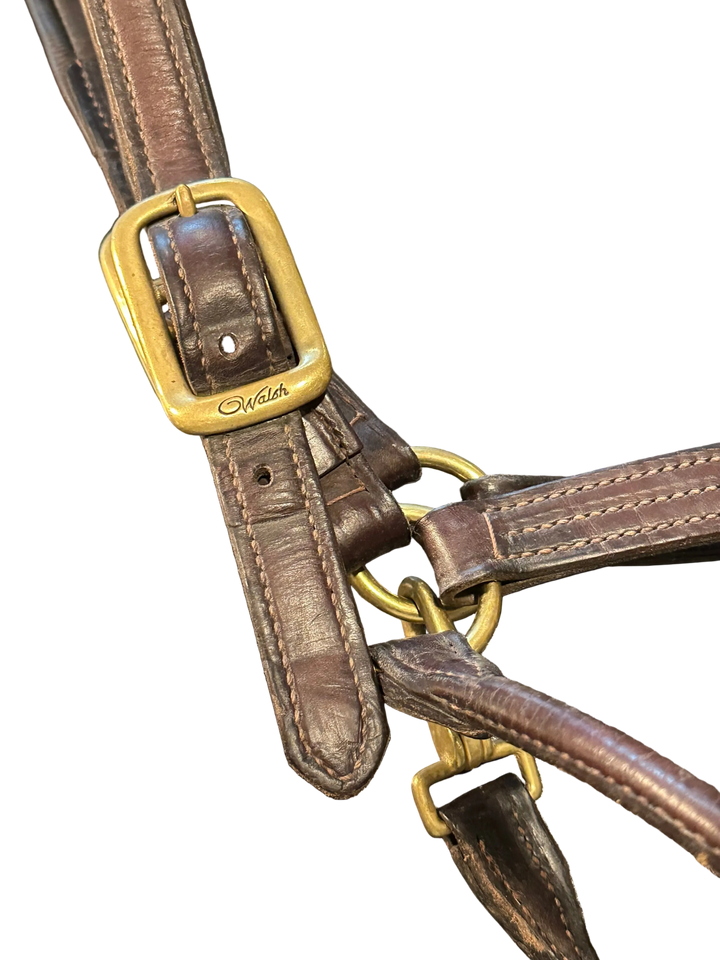 PRE-LOVED WALSH SIGNATURE PADDED HALTER