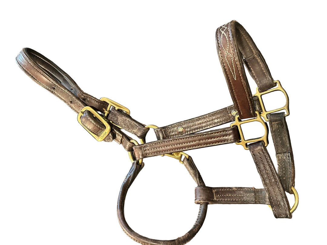 PRE-LOVED WALSH SIGNATURE PADDED HALTER