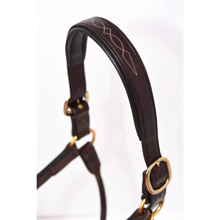 Perri's Fancy Stitched Leather Halter