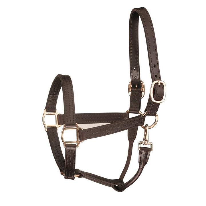 Perri's 1" Leather Track Halter w/ Snap