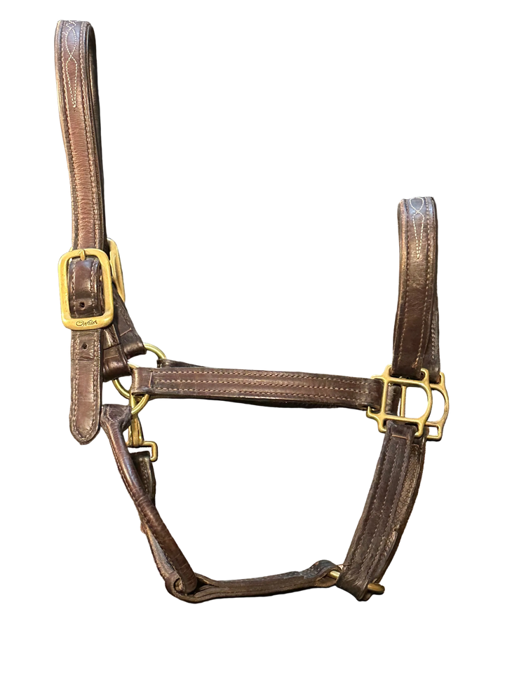 PRE-LOVED WALSH SIGNATURE PADDED HALTER