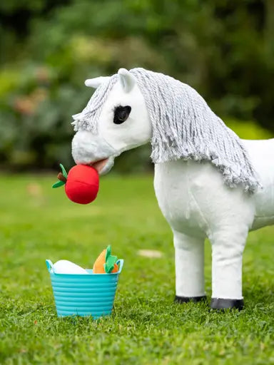 Toy Pony Treat Bucket