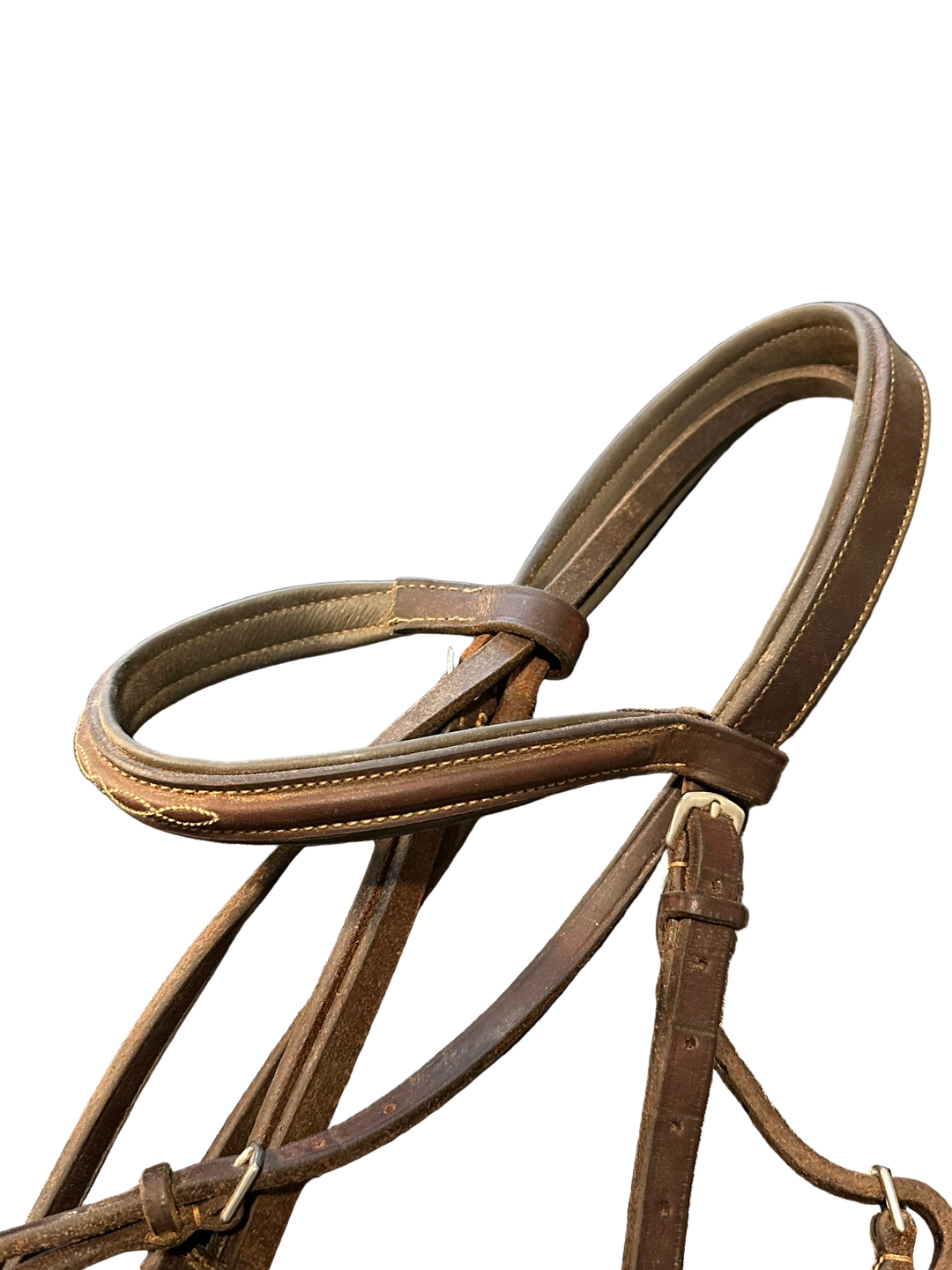 EDGEWOOD PADDED FANCY STITCHED RAISED BRIDLE
