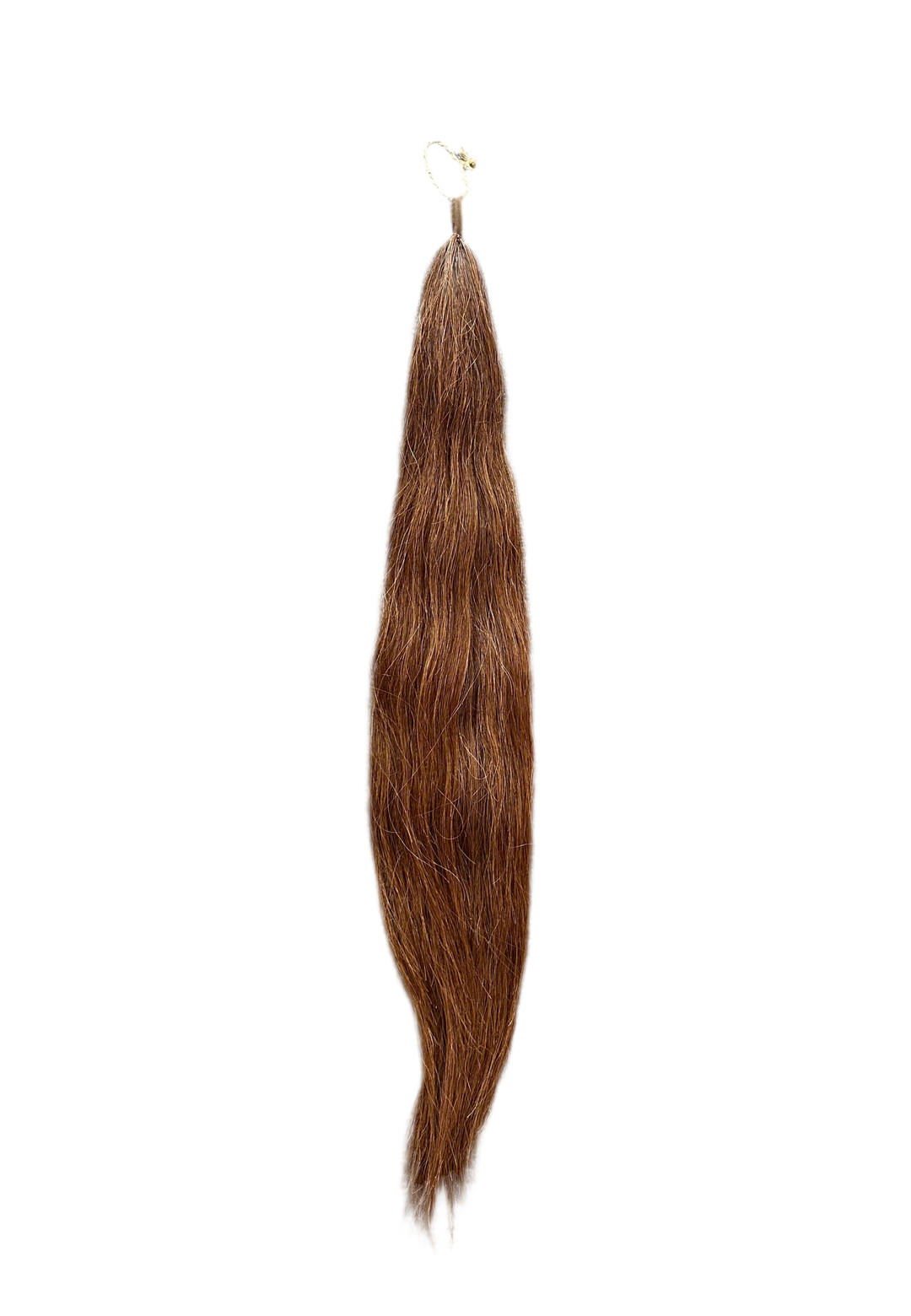 PRE-LOVED 35” CHESTNUT TAIL