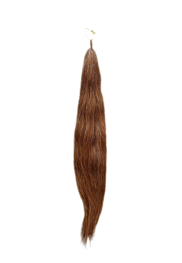 PRE-LOVED 35” CHESTNUT TAIL