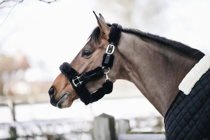 KENTUCKY SHEEPSKIN SHIPPING HALTER