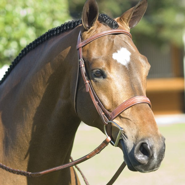 RODRIGO PESSOA FANCY WIDE SHOW BRIDLE
