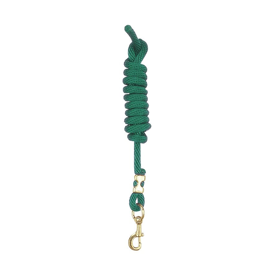 Perri's Nylon Lead w/ Snap