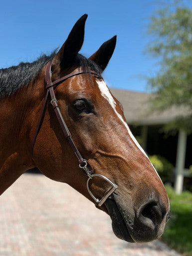 DziaSport Easy Change Schooling Bridle Only