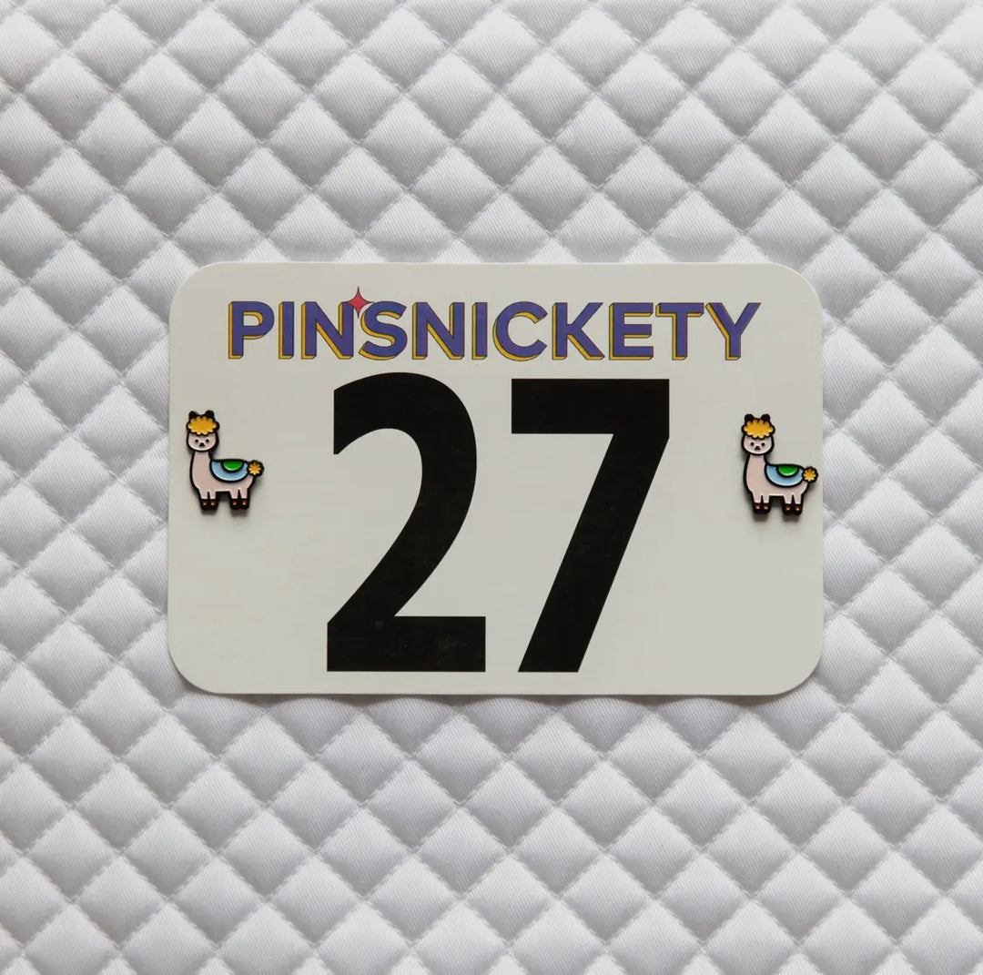 PINSNICKETY NUMBER PINS