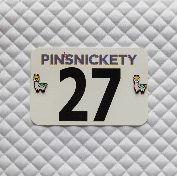 PINSNICKETY NUMBER PINS