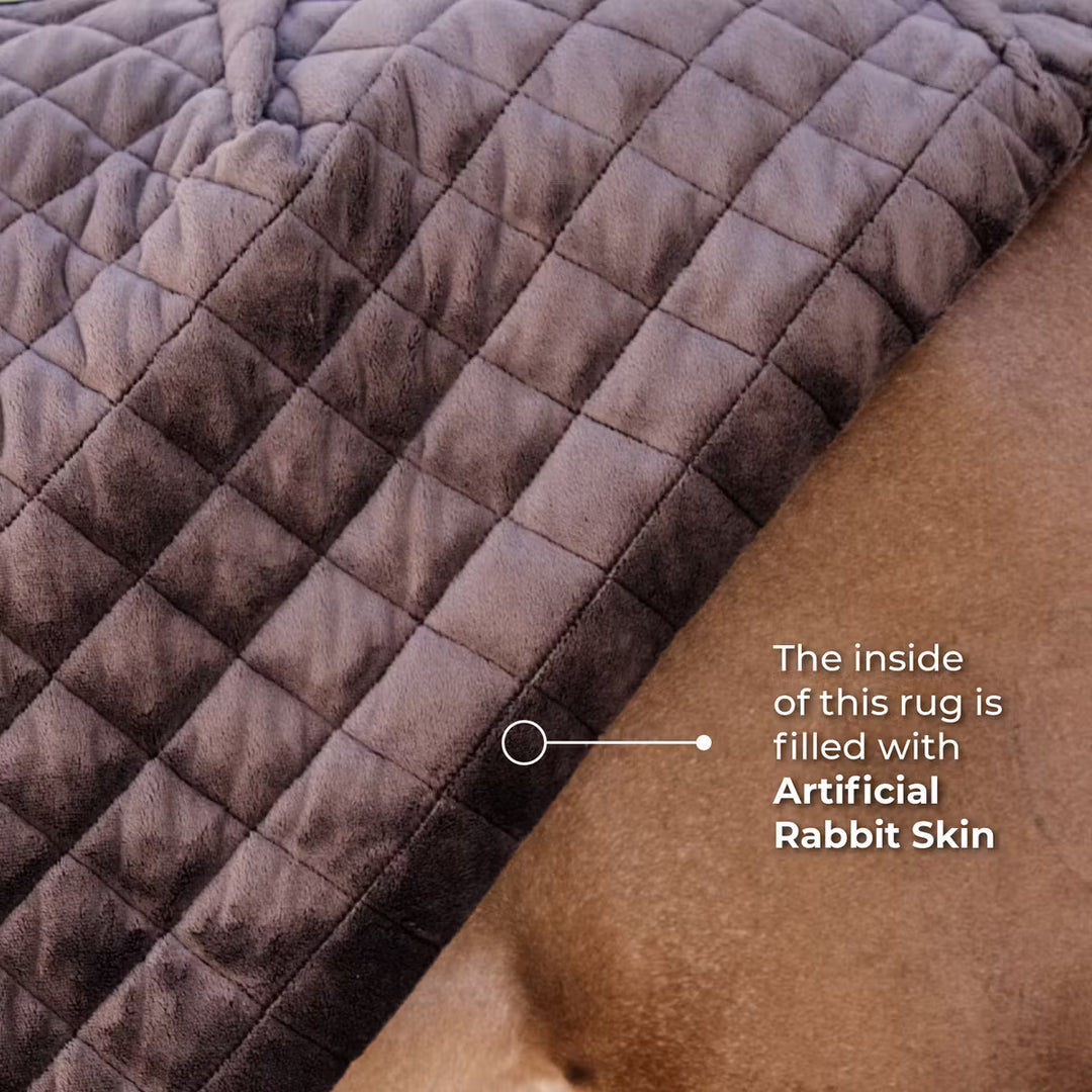 PATRICK SEATON STABLES KENTUCKY HORSEWARE SHOW RUG