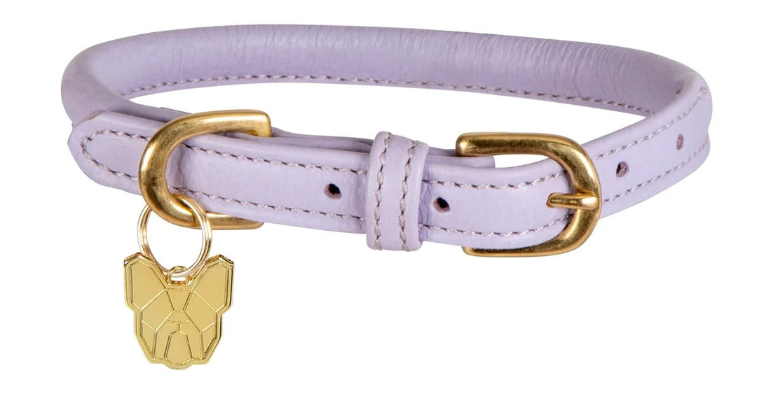 Digby & Fox Rolled Leather Dog Collar