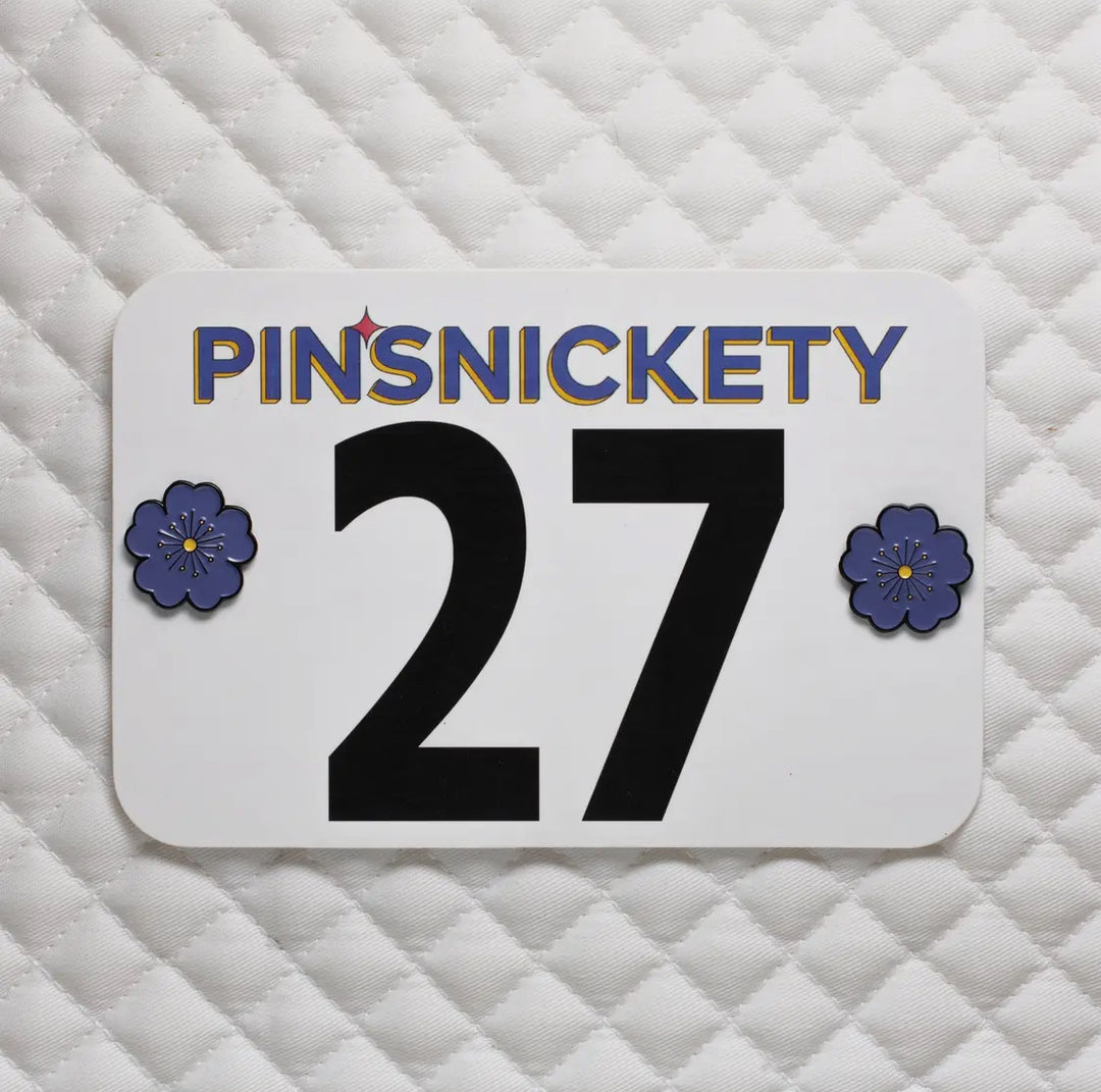 PINSNICKETY NUMBER PINS