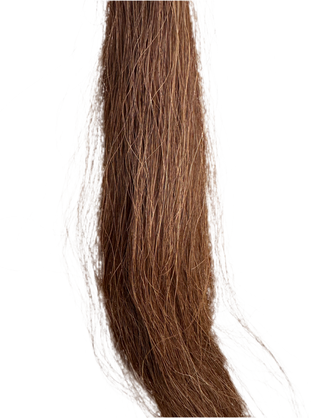 PRE-LOVED 35” CHESTNUT TAIL