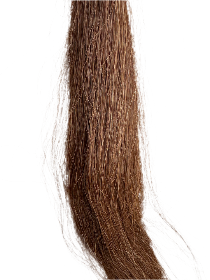 PRE-LOVED 35” CHESTNUT TAIL