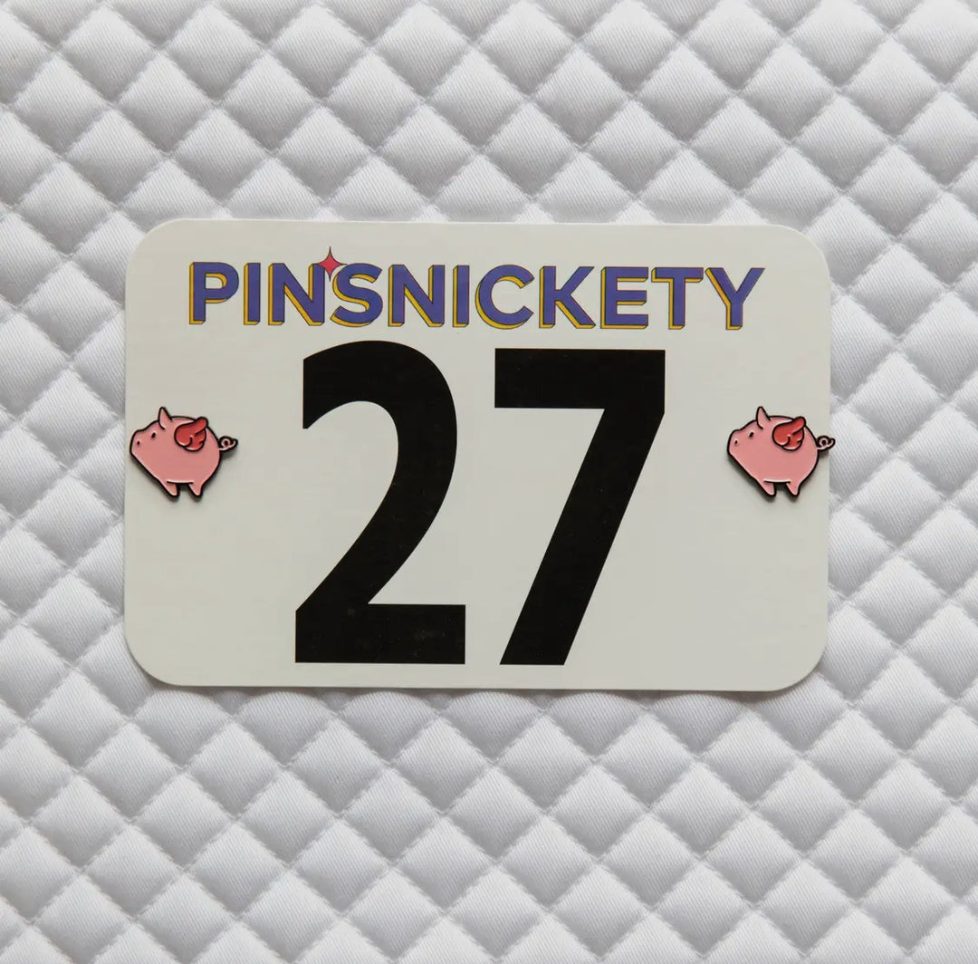 PINSNICKETY NUMBER PINS